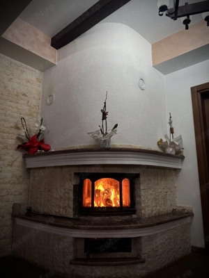 Cabana de închiriat - Bixad , Satu Mare - imagine 4