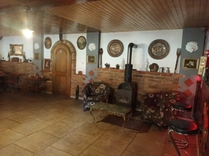 Casa sau afacere in Comlosu Mic - imagine 8