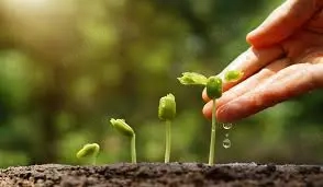 Inginer agronom caut job - imagine 2