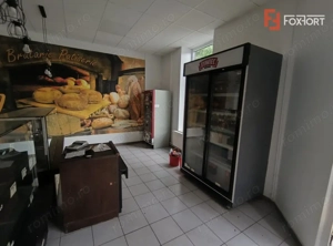 Casa individuala 3 camere, garaj + Spatiu comercial, Freidorf - imagine 17