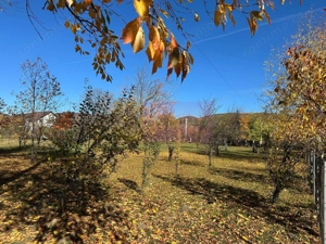 Teren intravilan de vanzare in Brebu (zona foarte linistita) - imagine 5