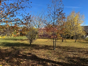Teren intravilan de vanzare in Brebu (zona foarte linistita) - imagine 7