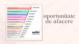 Colaborare MIHI   Afacere de acasă, fără investiție