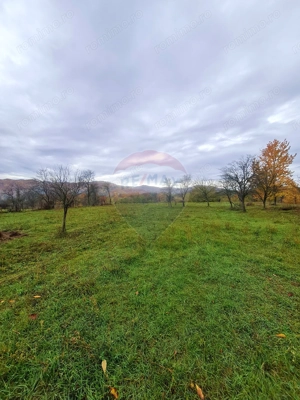 Teren intravilan  7370 mp in comuna Mera - imagine 4