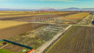 0% Comision  | Teren 650 mp | Sacele, Str. Venus | Curent + Apă - imagine 4