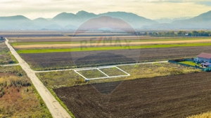 0% Comision | Teren 650 mp | Sacele, Str. Venus | INTRAVILAN - imagine 3