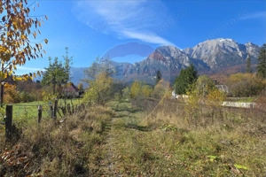 Teren intravilan 1.117 mp cu vedere spectaculoasă spre Crucea Caraiman - imagine 4