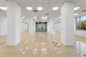 Spațiu comercial de 830mp de închiriat în zona Sud-Vest - imagine 2
