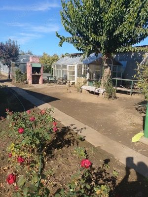 Casa de vânzare în Giarmata  - imagine 2