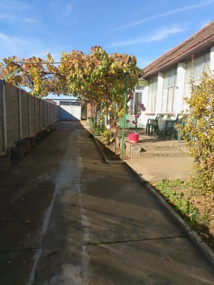 Casa de vânzare în Giarmata  - imagine 7