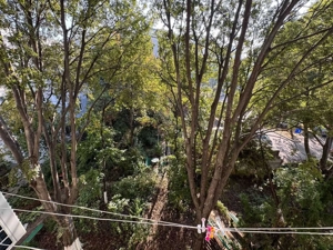 Apartament 3 camere Pacii Apusului Militari - imagine 8