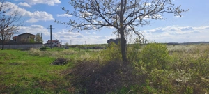 Mogosoaia, teren 792 mp, vedere la lac, utilitati, statie STB la 750m - imagine 3