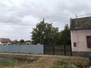 Casa de vanzare la Cenad - imagine 3