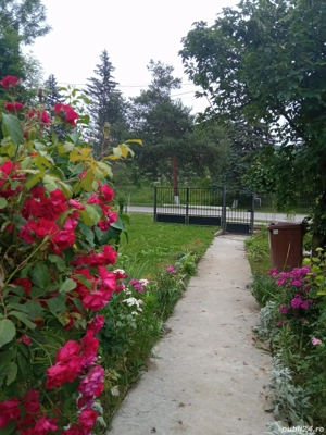 DE VANZARE! Casa slanic prahova + teren