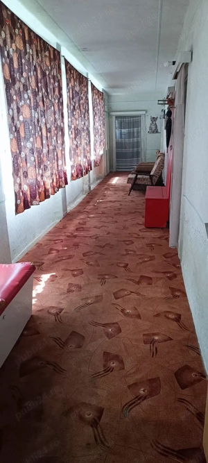 Casa de vanzare la Cenad - imagine 3