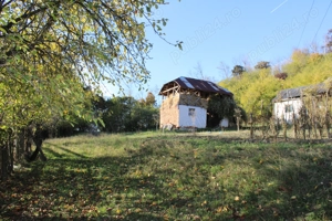 Teren intravilan cu casa veche - 2600 mp - Schitu Matei - imagine 5
