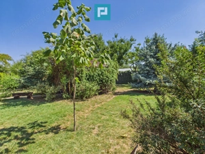 Casă și clădire de apartamente la Orțișoara - imagine 51