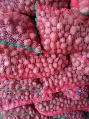 Cartofi de vanzare - imagine 2