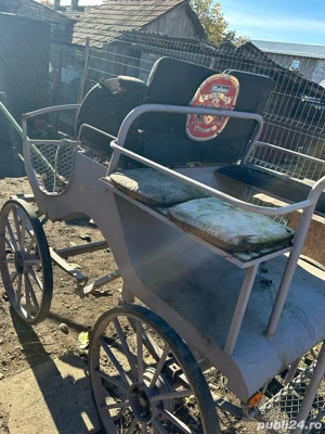 Vand trasura  - imagine 2