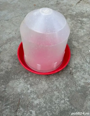 Recipiente pentru hrană și apă pentru puișori - imagine 4