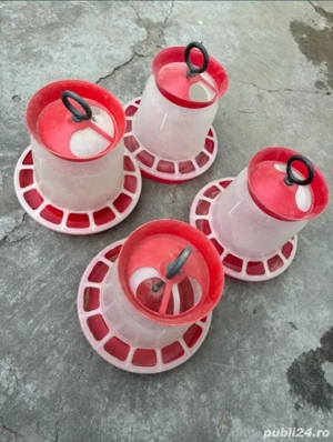 Recipiente pentru hrană și apă pentru puișori