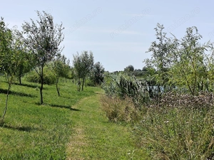 Balta de Pescuit | Cabana din Busteni | Teren 6,37 ha | langa Oradea - imagine 18