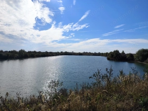 Balta de Pescuit | Cabana din Busteni | Teren 6,37 ha | langa Oradea - imagine 15