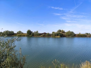 Balta de Pescuit | Cabana din Busteni | Teren 6,37 ha | langa Oradea - imagine 4
