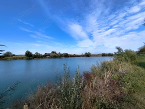 Balta de Pescuit | Cabana din Busteni | Teren 6,37 ha | langa Oradea - imagine 17