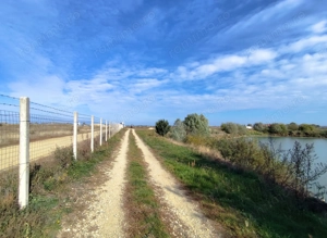 Balta de Pescuit | Cabana din Busteni | Teren 6,37 ha | langa Oradea - imagine 20
