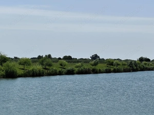 Balta de Pescuit | Cabana din Busteni | Teren 6,37 ha | langa Oradea - imagine 16
