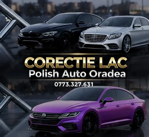 Polish Profesional One Step, Corectie Lac Auto, 1000 RON, Oradea! 