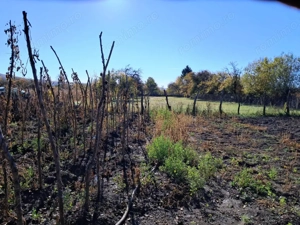 TEREN INTRAVILAN ȘI EXTRAVILAN POLOVRAGI-RACOVIȚA - imagine 3