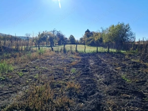 TEREN INTRAVILAN ȘI EXTRAVILAN POLOVRAGI-RACOVIȚA - imagine 2