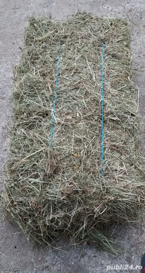 vănd baloți de  otavă 2025