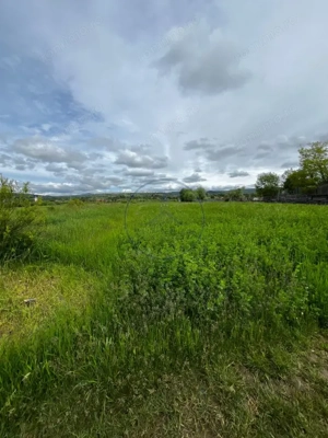  Teren extravilan de vânzare – 2.800 mp, Livezile, județul Bistrița-Năsăud - imagine 2