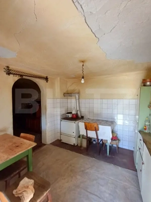 Casa renovabila cu 11508 mp teren, in Copaceni - imagine 20