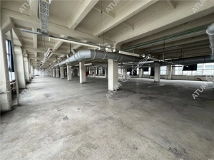 Hala industriala 1738 mp cu lift industrial situat in zona Centrala