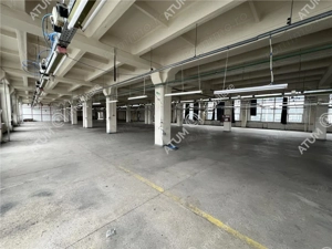 Hala industriala 1738 mp cu lift industrial situat in zona Centrala - imagine 2