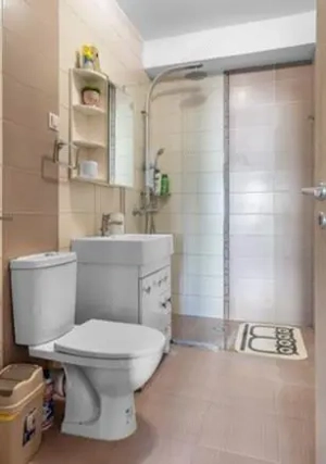 Garsoniera in zona Dristor - imagine 3 Garsoniera in zona Dristor - imagine 3