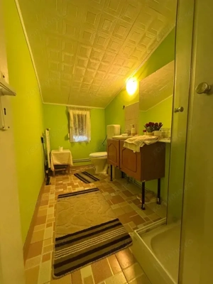 Apartament spatios, 3 camere, cu boxa pentru depozitare si gradina - Iosefin - imagine 6