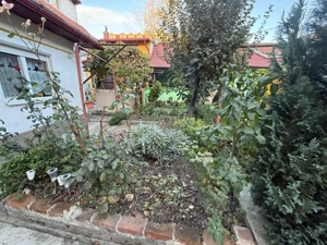 Apartament spatios, 3 camere, cu boxa pentru depozitare si gradina - Iosefin - imagine 7