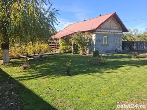 Casă cu teren 3.000 mp   vie, livadă, utilități, acte în regulă!