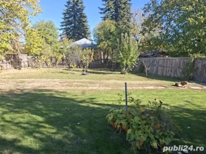 Casă cu teren 3.000 mp   vie, livadă, utilități, acte în regulă! - imagine 3