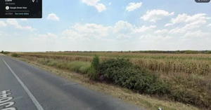 Terenuri agricole de vanzare in sat Branet, comuna Barza, Olt