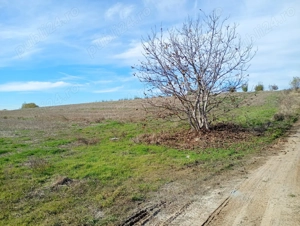 Teren 2.050 mp aproape de București   lângă lac și pădure, ideal pentru locuință sau investiție - imagine 6