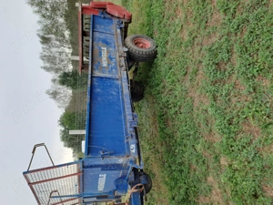 Mig gunoi  - imagine 2 Mig gunoi  - imagine 2