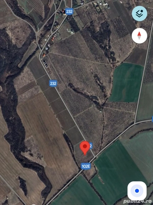 Teren cu plantatie de Paulownia - imagine 2