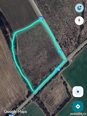 Teren cu plantatie de Paulownia - imagine 4