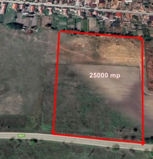 Teren intravilan 25000 mp  Tamaseu - langa DN19